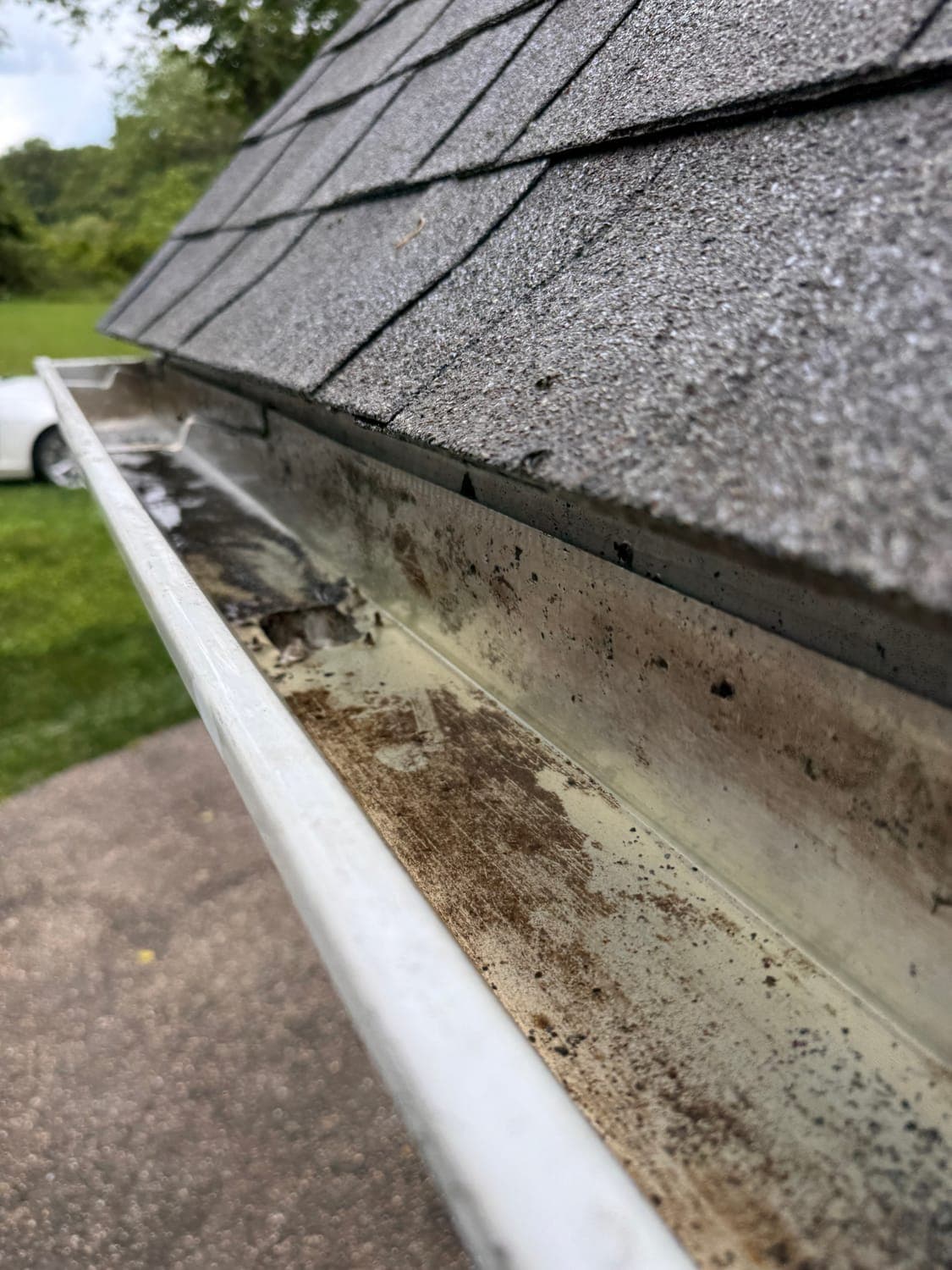Gutter Cleaning after