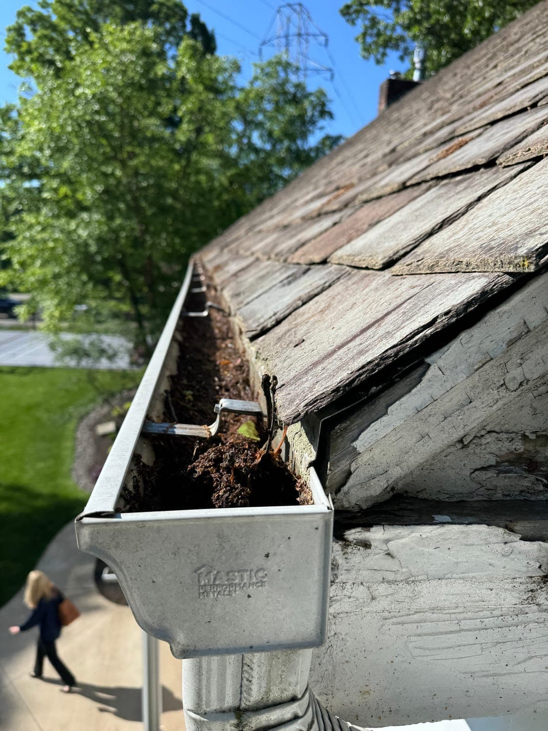 Gutter Cleanout before