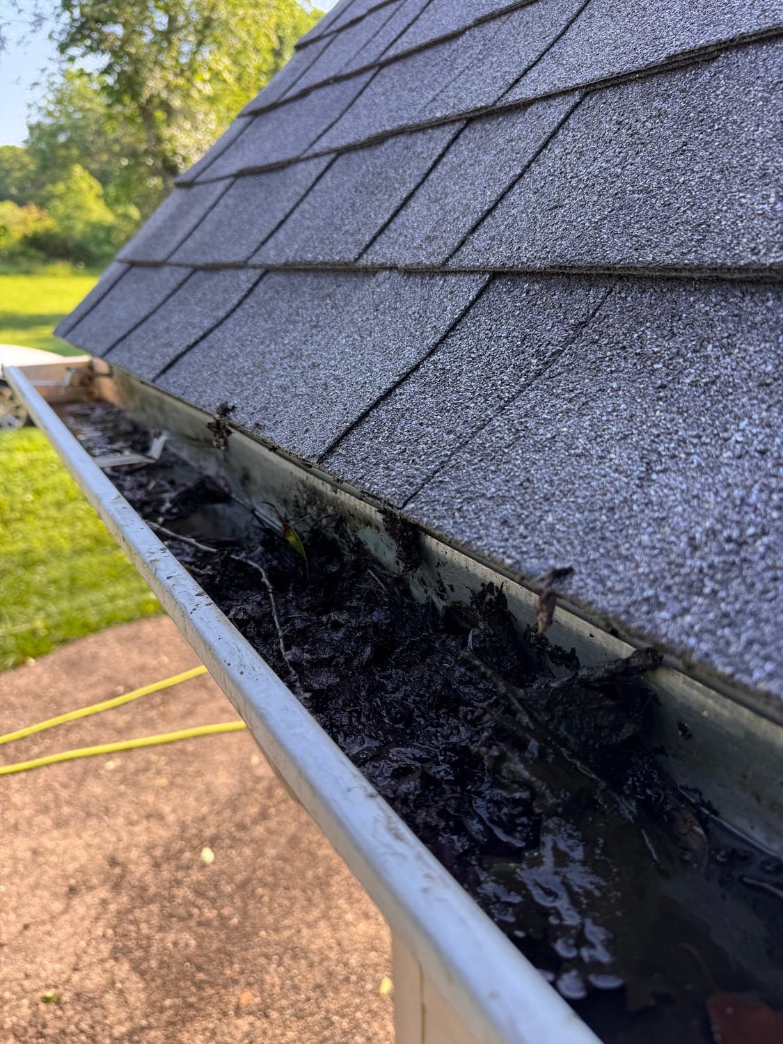 Gutter Cleaning before